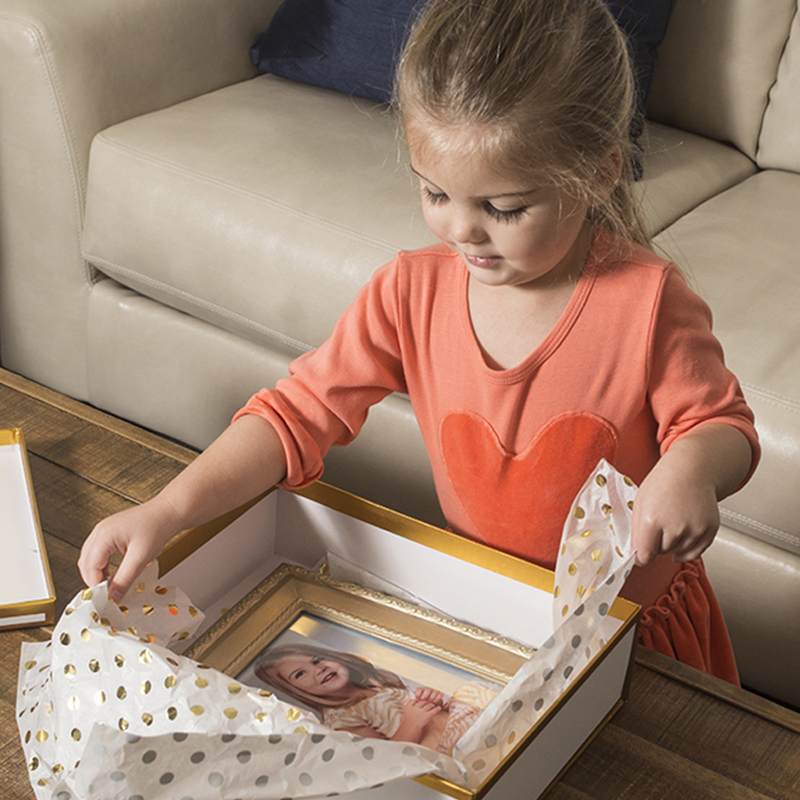 Home Teddybear Portraits